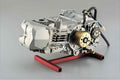 Motore Daytona Anima 190 FSM 4V (Compatibile per telaio Ohvale GP2 190cc)